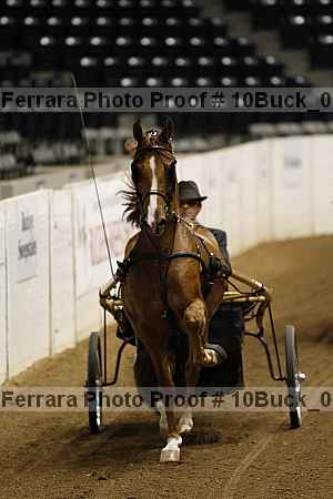 Proof 10buck_0008