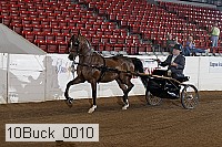 10buck_0010 proof