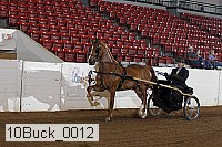 10buck_0012 proof
