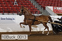 10buck_0013 proof