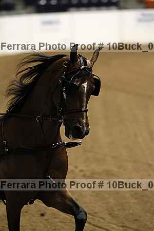 Proof 10buck_0014