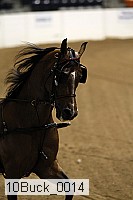 10buck_0014 proof