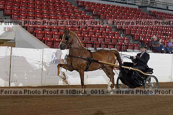 Proof 10buck_0015