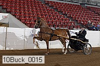 10buck_0015 proof