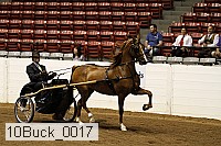 10buck_0017 proof