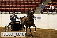 10buck_0018 proof