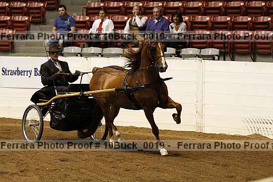 Proof 10buck_0019