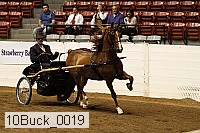 10buck_0019 proof
