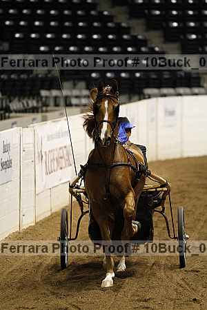 Proof 10buck_0021