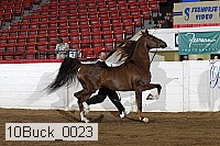 10buck_0023 proof