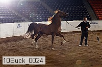 10buck_0024 proof