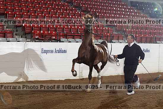 Proof 10buck_0025