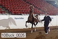 10buck_0025 proof