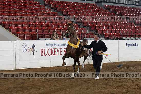 Proof 10buck_0028