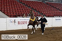 10buck_0028 proof