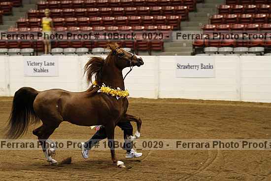 Proof 10buck_0029