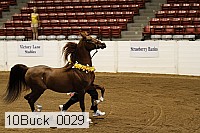 10buck_0029 proof