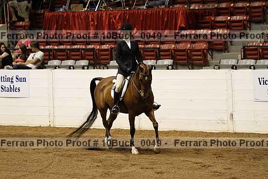 Proof 10buck_0049