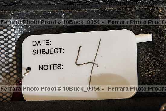 Proof 10buck_0054