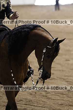 Proof 10buck_0058