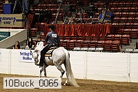 10buck_0065 proof