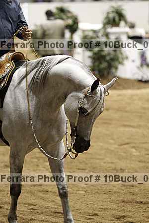 Proof 10buck_0071