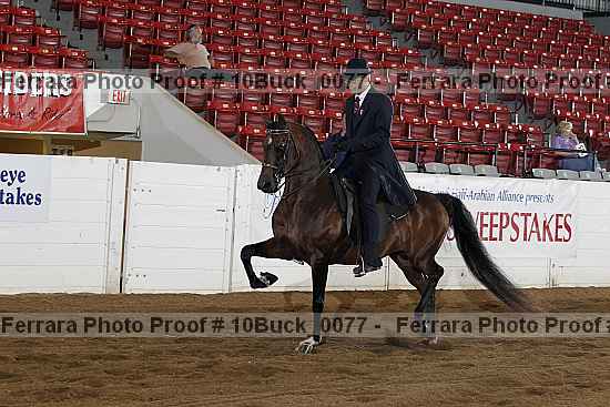 Proof 10buck_0077