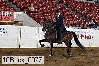 10buck_0077 proof
