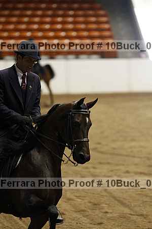Proof 10buck_0078