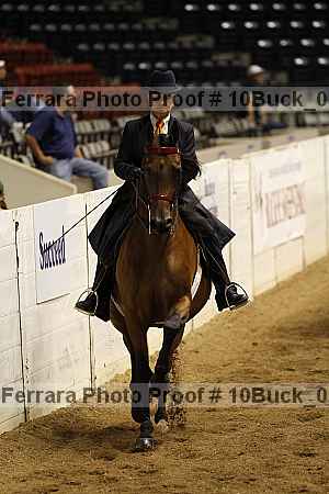 Proof 10buck_0082