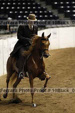 Proof 10buck_0088