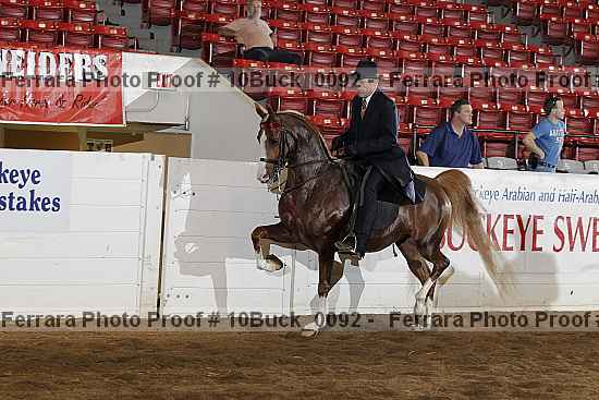 Proof 10buck_0092