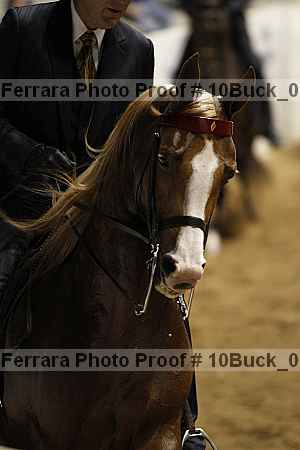 Proof 10buck_0093