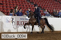 10buck_0094 proof