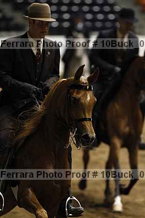 Proof 10buck_0095