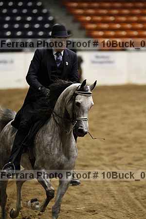 Proof 10buck_0096