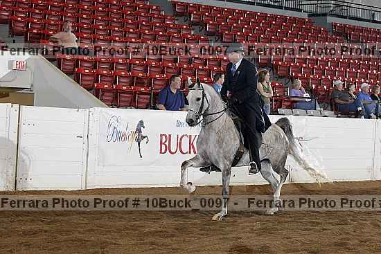 Proof 10buck_0097