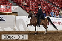 10buck_0101 proof