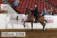 10buck_0104 proof