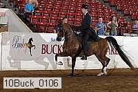 10buck_0106 proof