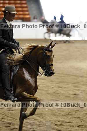 Proof 10buck_0108
