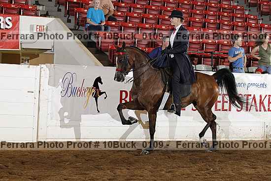 Proof 10buck_0109