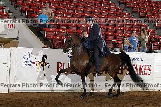 Proof 10buck_0110