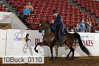 10buck_0110 proof