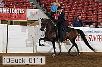 10buck_0111 proof