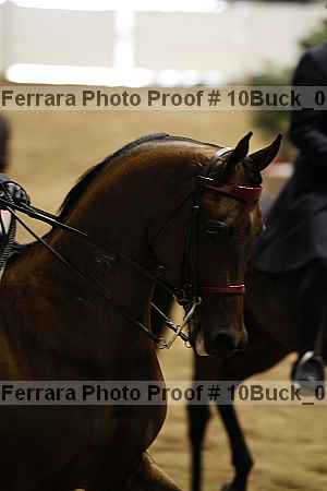 Proof 10buck_0113