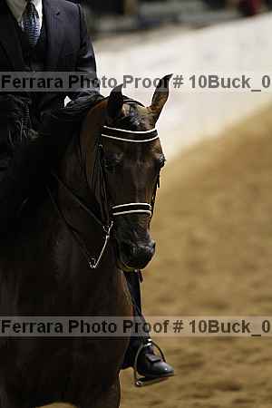 Proof 10buck_0117