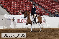 10buck_0135 proof