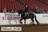 10buck_0138 proof