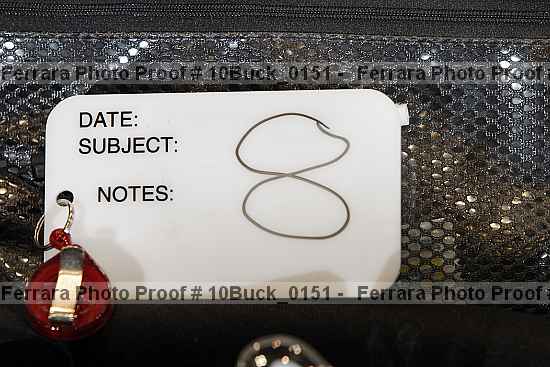 Proof 10buck_0151